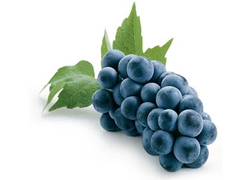 Жителя Витебска судят за гроздь винограда