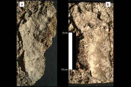Антропологи нашли древнейшие следы человека в Северной Америке