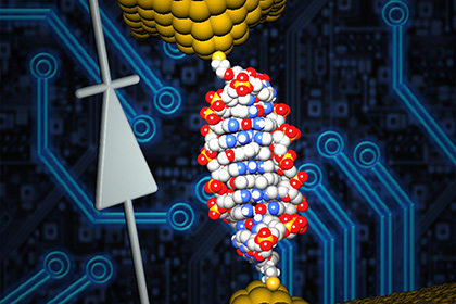 Ученые сделали из ДНК самый маленький диод в мире