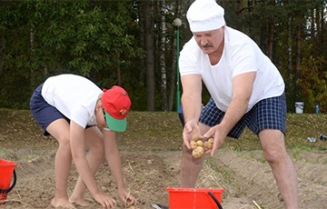 Как Лукашенко уничтожил сельского хозяйство