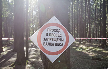 Жители Боровлян продолжают борьбу за свой лес