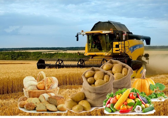Готов ли белорусский АПК к усилению конкуренции на мировом рынке продовольствия?