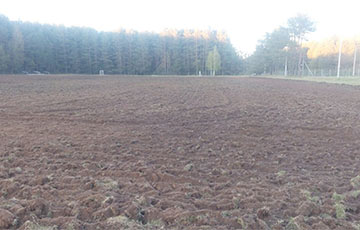 Как в Беларуси за один день превращают стадион в картофельное поле
