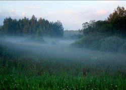 Беларусь накрывает туманами