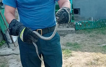 В Минском районе сельчане не смогли попасть в дом из-за змеи