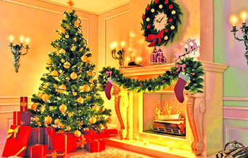 Сколько новогодних елок и сосен купили белорусы в праздничные дни