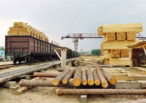 Совмин ввел лицензирование экспорта лесоматериалов за пределы ЕАЭС