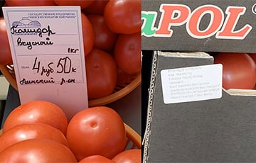 Секреты «Комаровки»: как помидоры из Польши становятся «пинскими»