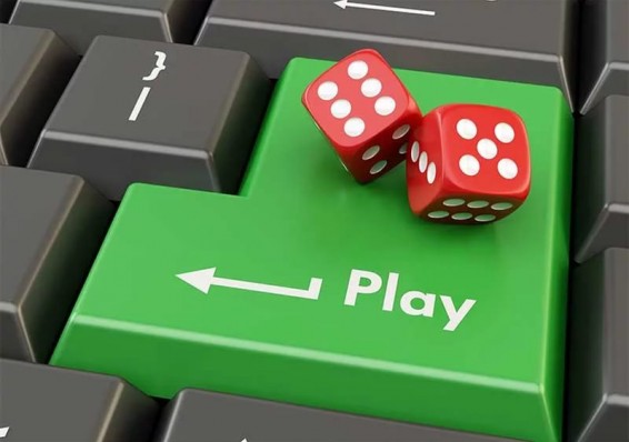 В Беларуси могут легализовать азартные игры онлайн