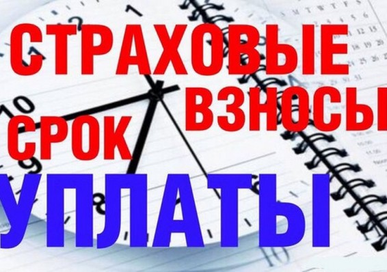 Рост страховых взносов в Беларуси составил 7,1 процента