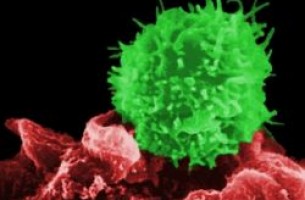 Американские ученые одобрили генную терапию ВИЧ-инфекции