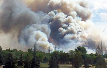 Пожар на Ольманских болотах удалось потушить после нескольких суток