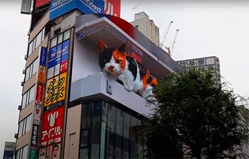 В Японии появился большой 3D-кот, который мяукает на экране торгового центра