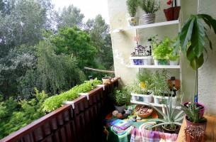 Самый красивый балкон Беларуси - в Бресте