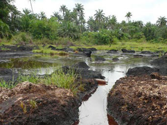 Shell призналась в разливах нефти в Нигерии