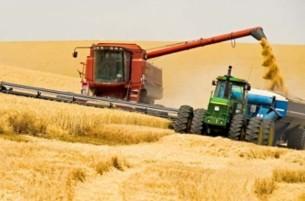 В Беларуси опять ожидают рекордный урожай
