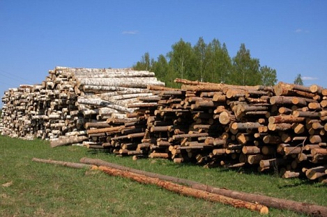 Оборудование для лесозаготовки освобождено от таможенных пошлин и НДС
