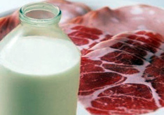 Беларусь нарастила экспорт молока и мяса в 2016 году