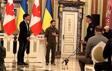 Зеленский познакомил Трюдо со знаменитым украинским псом-сапером Патроном