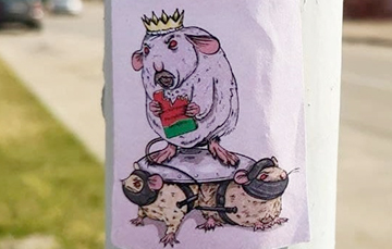 Фотофакт: Жители Ангарской пргоняют «крысиного короля»