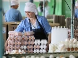 Россельхознадзор вернул в Беларусь 220 тысяч яиц