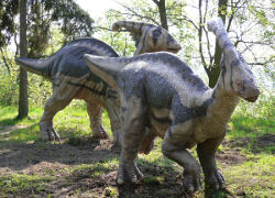 Динозавры вымерли из-за невезения