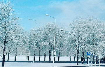 Фотофакт: Май в Беларуси превратился в «маябрь»