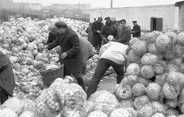 Как в СССР отправляли людей в поле и на «овощные базы»