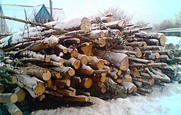 Пенсионера в Молодечно отправили колоть дрова за $0,75 в час