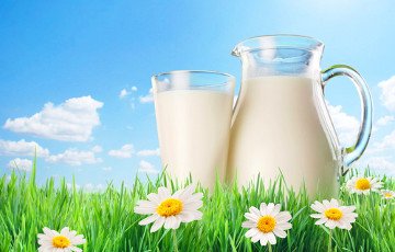 Россельхознадзор задержал 19 тонн белорусского молока «из будущего»