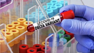 Индийский штамм коронавируса обнаружен в Гомельской области