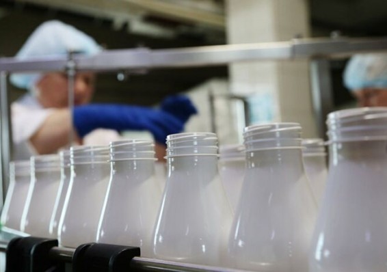 Россельхознадзор не хочет полностью снимать ограничения на поставки белорусской «молочки»
