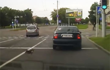 Видеофакт: В Минске из машины на проезжую часть выбросили собаку