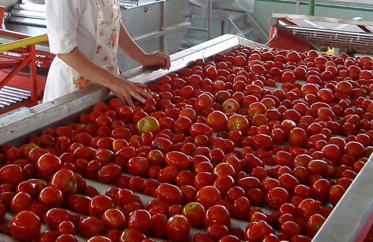 Беларусь предлагает Азербайджану создание СП по переработке плодоовощной продукции