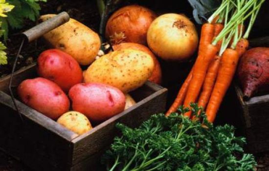 Лукашенко приказал устранить бюрократические препоны для реализации аграрной продукции